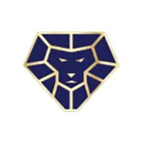 Lions Financial