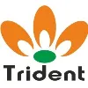 TRIDENT CHEMPHAR LIMITED TRIDENT CHEMPHAR LIMITED