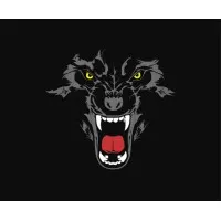 Raging Wolf Solutions