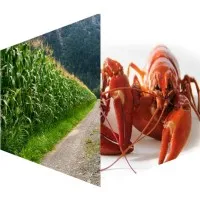 Agri‑Food Analytics Lab