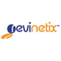 Revinetix, Inc.