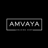 Amvaya Holdings Inc Amvaya Holdings Inc