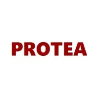 PROTEA | success navigation for nonprofits