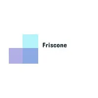 Friscone Group - Business Ki Nai Udaan