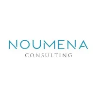 Noumena Consulting