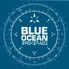 Blue Ocean Brokerage Blue Ocean Brokerage
