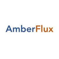 AmberFlux EdgeAI Private Limited