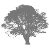 Aesop Partners Aesop Partners