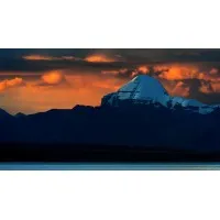 White Himalaya Info Services P LTD