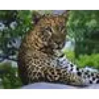 Dequeen School District 17