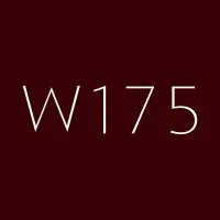 WITHIN175