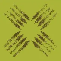 Landmark Design Landmark Design