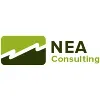 NEA Consulting Inc NEA Consulting Inc