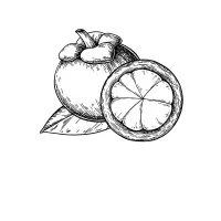Mangosteen Solutions Mangosteen Solutions