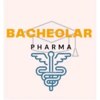 Bachelor Bachelor