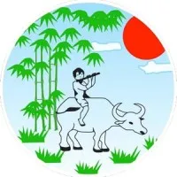 Vietnam Original Travel