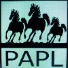 Pradhan Associates Pvt. Ltd. (PAPL) Pradhan Associates Pvt. Ltd. (PAPL)