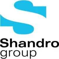 The Shandro Group