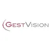 GestVision, Inc. GestVision, Inc.