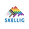 Skellig Automation Skellig Automation