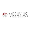 Vesuvius Digital Services Vesuvius Digital Services