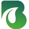 BeingMash Services (BMS) BeingMash Services (BMS)