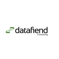 DataFiend Consulting Services