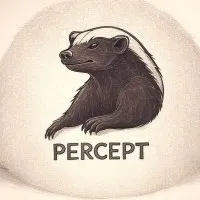Percept AGI Percept AGI