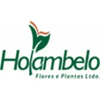Holambelo Flores e Plantas