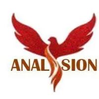 Analysion Inc.