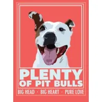 PLENTY OF PITBULLS INC