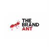 The Brand Ant The Brand Ant