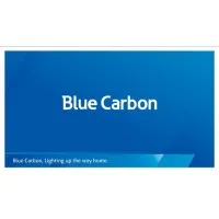 Blue Carbon Technology 