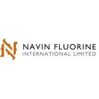 Navin Fluorine International Ltd.