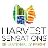 Harvest Sensations