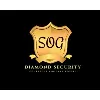 DIAMOND SECURITY SERVICES LTD DIAMOND SECURITY SERVICES LTD
