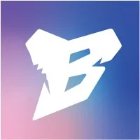 BYTESITE LLC BYTESITE LLC