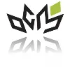 Observatory Capital Management LLP