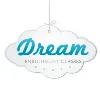 Dream Enrichment Classes