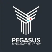 Pegasus Technology Solutions