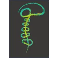 Central Texas Brain & Spine