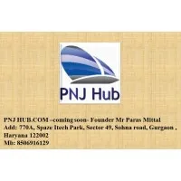 PNJ Professional Network Joint Ltd- United Kingdom
