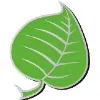 Silver Lining Herbs Silver Lining Herbs