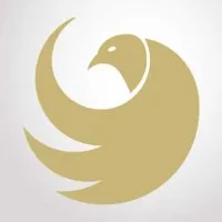 Falcon-Wings