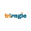Triangle Mind Technologies Private Limited