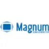 Magnum Semiconductor Magnum Semiconductor