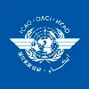 International Civil Aviation Organization International Civil Aviation Organization