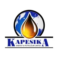 Kapesika Group of Companies 