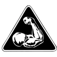 STRONGARM ENVIRONMENTAL FIELD SERVICES INC STRONGARM ENVIRONMENTAL FIELD SERVICES INC