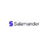 Salamander Advisory Services - Helping technology companies realise ambitions Salamander Advisory Services - Helping technology companies realise ambitions
